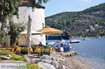 JustGreece.com Skiathos town | Skiathos Sporades | Greece  Photo 6 - Foto van JustGreece.com