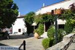 JustGreece.com Skiathos town | Skiathos Sporades | Greece  Photo 17 - Foto van JustGreece.com