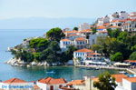 JustGreece.com Skiathos town | Skiathos Sporades | Greece  Photo 31 - Foto van JustGreece.com