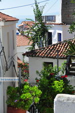 JustGreece.com Skiathos town | Skiathos Sporades | Greece  Photo 34 - Foto van JustGreece.com