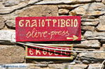 Monastery Evangelistria Skiathos | Skiathos Sporades | Greece  Photo 12 - Photo JustGreece.com