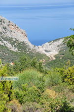 Nikotsara beach | Skiathos Sporades | Greece  Photo 1 - Photo JustGreece.com