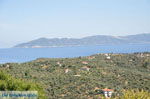 JustGreece.com Skiathos town and eilandjes tegenover | Sporades | Greece  Photo 1 - Foto van JustGreece.com