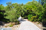 JustGreece.com Kastro | Skiathos Sporades | Greece  Photo 3 - Foto van JustGreece.com