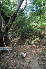 Wandelpaden near monastery Kechria | Skiathos Sporades | Greece  Photo 1 - Foto van JustGreece.com