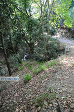 Wandelpaden near monastery Kechria | Skiathos Sporades | Greece  Photo 2 - Photo JustGreece.com