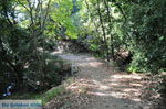 JustGreece.com Wandelpaden near monastery Kechria | Skiathos Sporades | Greece  Photo 3 - Foto van JustGreece.com