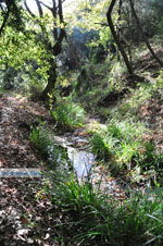 JustGreece.com Wandelpaden near monastery Kechria | Skiathos Sporades | Greece  Photo 18 - Foto van JustGreece.com