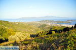 PanoramaPhoto Skiathos town | Skiathos Sporades | Greece  Photo 1 - Photo JustGreece.com