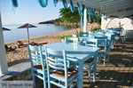 JustGreece.com Achladies | Skiathos Sporades | Greece  Photo 15 - Foto van JustGreece.com