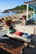 JustGreece.com Maniatis Garden Achladies | Skiathos Sporades | Greece  Photo 3 - Foto van JustGreece.com