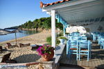 JustGreece.com Maniatis Garden Achladies | Skiathos Sporades | Greece  Photo 4 - Foto van JustGreece.com