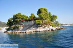 JustGreece.com Skiathos town | Skiathos Sporades | Greece  Photo 64 - Foto van JustGreece.com