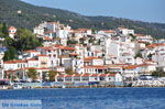 JustGreece.com Skiathos town | Skiathos Sporades | Greece  Photo 67 - Foto van JustGreece.com