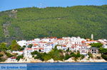 JustGreece.com Skiathos town | Skiathos Sporades | Greece  Photo 69 - Foto van JustGreece.com