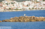 JustGreece.com Skiathos town | Skiathos Sporades | Greece  Photo 71 - Foto van JustGreece.com