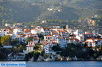 JustGreece.com Skiathos town | Skiathos Sporades | Greece  Photo 72 - Foto van JustGreece.com