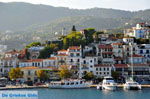 JustGreece.com Skiathos town | Skiathos Sporades | Greece  Photo 79 - Foto van JustGreece.com