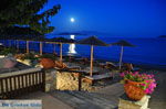 JustGreece.com Maniatis Garden Achladies | Skiathos Sporades | Greece  Photo 10 - Foto van JustGreece.com