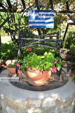 JustGreece.com Maniatis Garden Achladies | Skiathos Sporades | Greece  Photo 12 - Foto van JustGreece.com