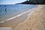 JustGreece.com Achladies | Skiathos Sporades | Greece  Photo 21 - Foto van JustGreece.com