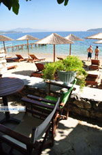 JustGreece.com Maniatis Garden Achladies | Skiathos Sporades | Greece  Photo 13 - Foto van JustGreece.com