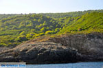 The green eastern coast of Skopelos | Sporades | Greece  Photo 2 - Photo JustGreece.com