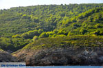 The green eastern coast of Skopelos | Sporades | Greece  Photo 3 - Photo JustGreece.com
