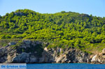 The green eastern coast of Skopelos | Sporades | Greece  Photo 6 - Photo JustGreece.com
