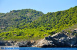 The green eastern coast of Skopelos | Sporades | Greece  Photo 7 - Photo JustGreece.com