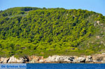 The green eastern coast of Skopelos | Sporades | Greece  Photo 8 - Photo JustGreece.com