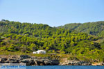 The green eastern coast of Skopelos | Sporades | Greece  Photo 10 - Photo JustGreece.com