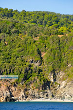 The green eastern coast of Skopelos | Sporades | Greece  Photo 11 - Photo JustGreece.com