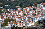 Skopelos town | Sporades | Greece  Photo 3 - Photo JustGreece.com