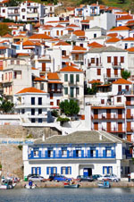 JustGreece.com Skopelos town | Sporades | Greece  Photo 7 - Foto van JustGreece.com