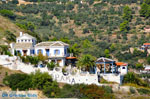 JustGreece.com Skopelos town | Sporades | Greece  Photo 54 - Foto van JustGreece.com
