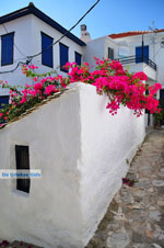 JustGreece.com Skopelos town | Sporades | Greece  Photo 63 - Foto van JustGreece.com