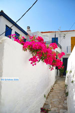 JustGreece.com Skopelos town | Sporades | Greece  Photo 64 - Foto van JustGreece.com