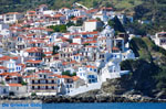 JustGreece.com Skopelos town | Sporades | Greece  Photo 71 - Foto van JustGreece.com