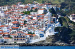 JustGreece.com Skopelos town | Sporades | Greece  Photo 71 - Foto van JustGreece.com