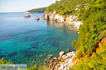 Stafylos | Skopelos Sporades | Greece  Photo 2 - Photo JustGreece.com