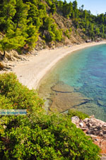 JustGreece.com Stafylos | Skopelos Sporades | Greece  Photo 7 - Foto van JustGreece.com