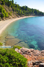 JustGreece.com Stafylos | Skopelos Sporades | Greece  Photo 8 - Foto van JustGreece.com