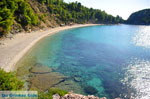 Stafylos | Skopelos Sporades | Greece  Photo 9 - Photo JustGreece.com