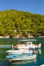 JustGreece.com Agnontas | Skopelos Sporades | Greece  Photo 9 - Foto van JustGreece.com