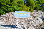 Agnontas | Skopelos Sporades | Greece  Photo 12 - Photo JustGreece.com