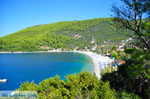 JustGreece.com Panormos Skopelos | Sporades | Greece  Photo 5 - Foto van JustGreece.com