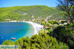 JustGreece.com Panormos Skopelos | Sporades | Greece  Photo 8 - Foto van JustGreece.com