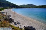 JustGreece.com Panormos Skopelos | Sporades | Greece  Photo 9 - Foto van JustGreece.com