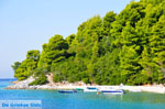 Panormos Skopelos | Sporades | Greece  Photo 13 - Photo JustGreece.com